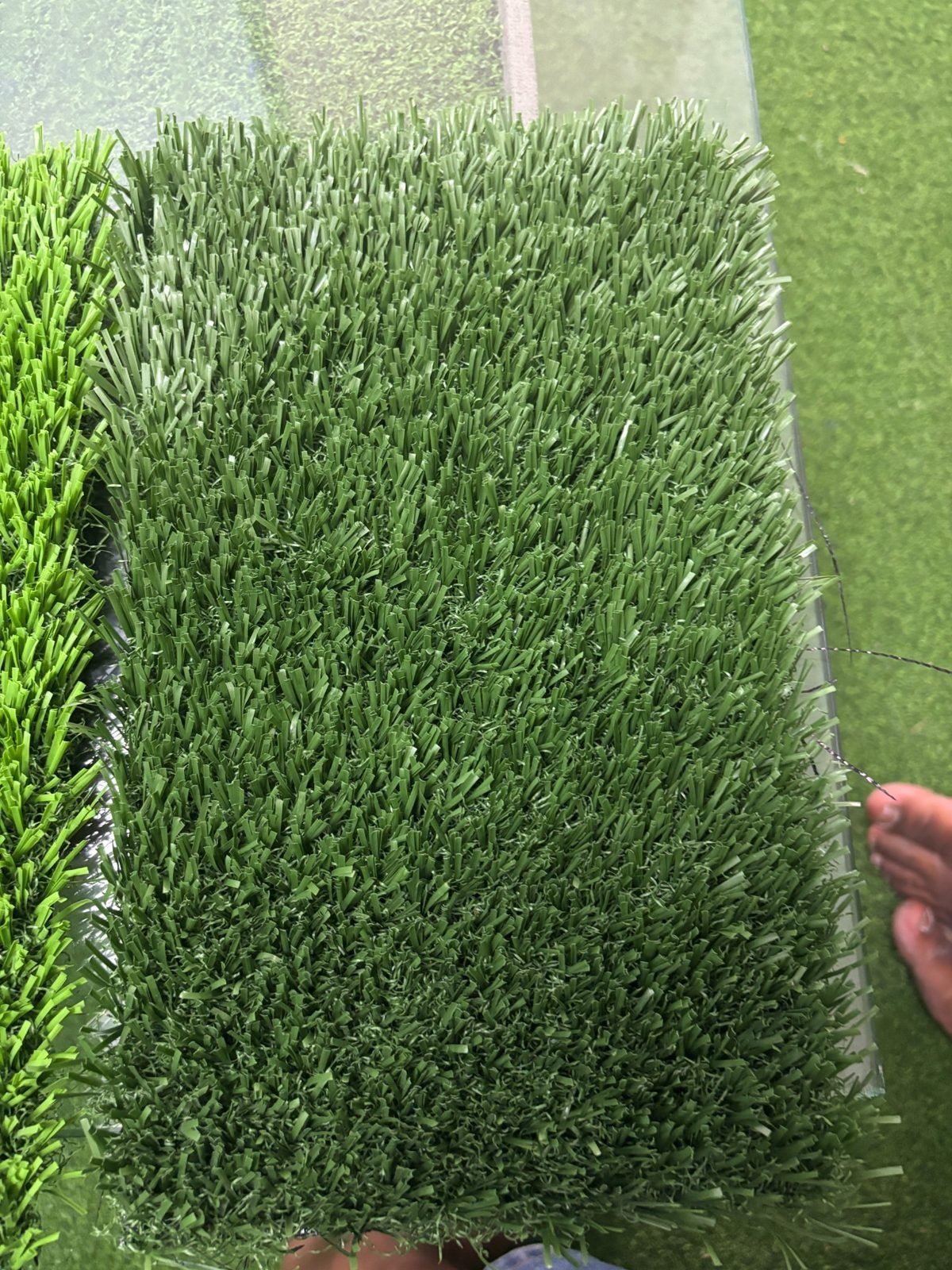 Artificial grass sample