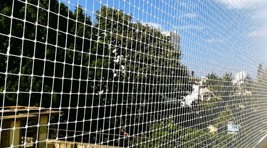 ENB Enterprises team installing bird safety nets on a residential balcony in Chennai